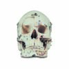 Cranio scomponibile in dieci parti con evidenziazioni anatomiche