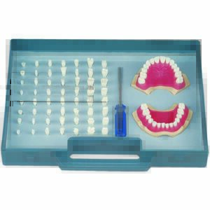 Kit protesi fissa esercitazioni su manichino