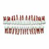 Serie 28 denti per art. DS0937/DS0980