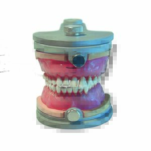 Modello con denti cariati