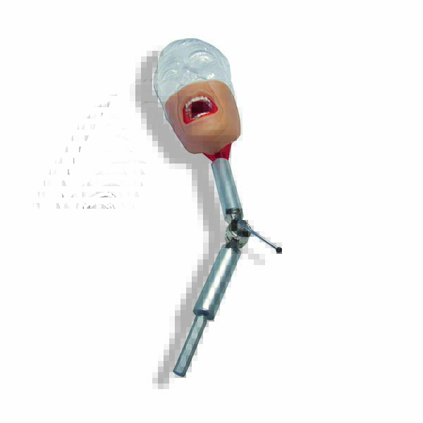 Manichino con supporto a pantografo Manichino con supporto a pantografo